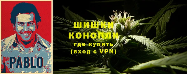 ГАЛЛЮЦИНОГЕННЫЕ ГРИБЫ Михайловск